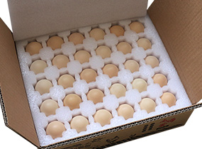 �������u����